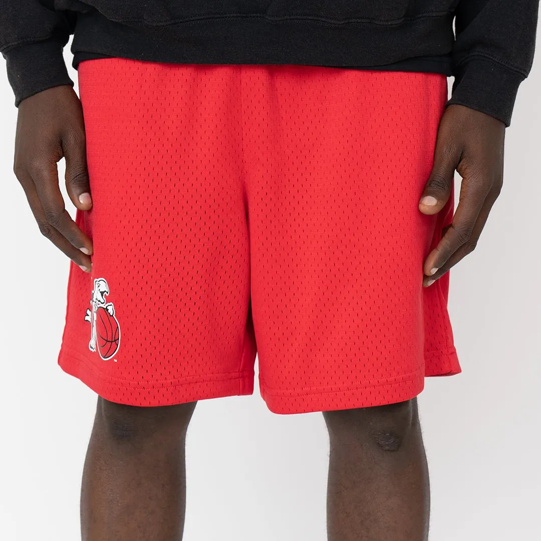 Maryland Terrapins Retro Practice Shorts